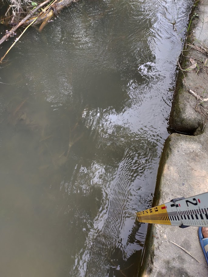 Field work - 21 June 2019